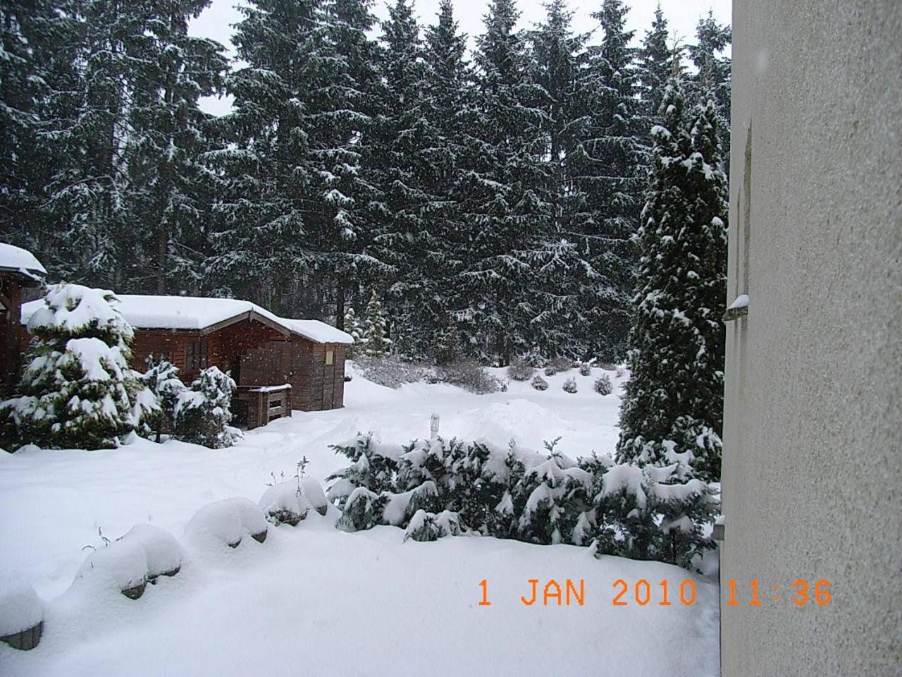 Blechleppel - Die Pension Im Harz Benneckenstein Εξωτερικό φωτογραφία